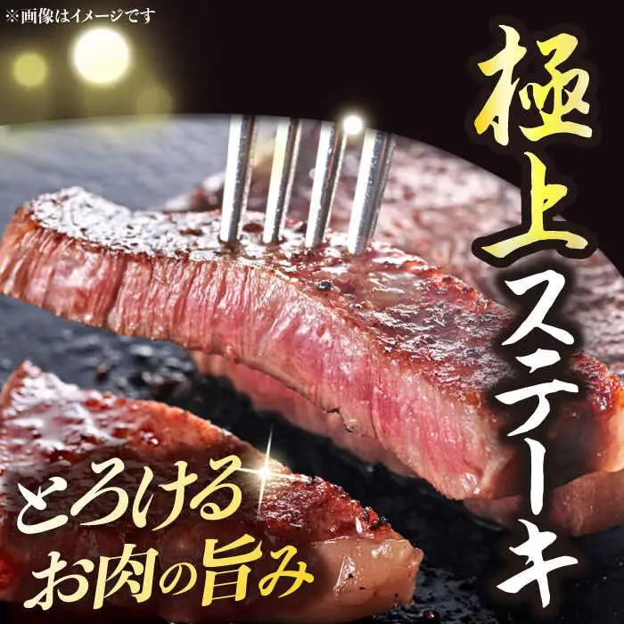 【12回定期便】 長崎和牛2種 ステーキ食べ比べ [DBK005] お肉 定期便 12回