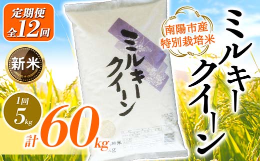 【令和6年産 新米 先行予約】 【金賞受賞農家】 《定期便12回》 特別栽培米 ミルキークイーン 5kg×12か月 《令和6年10月上旬～発送》 『あおきライスファーム』 山形南陽産 米 白米 精米 ご飯 農家直送 山形県 南陽市 [1615-R6]