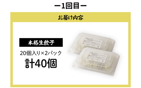 【定期便】 餃子 焼売 月替り便 全3回 | ぎょうざ 冷凍 北本フーズ