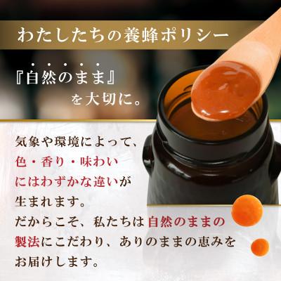 ふるさと納税 和泉市 TCNマヌカハニー4個セット(MGO1050+/860+/550+/220+) |  | 02