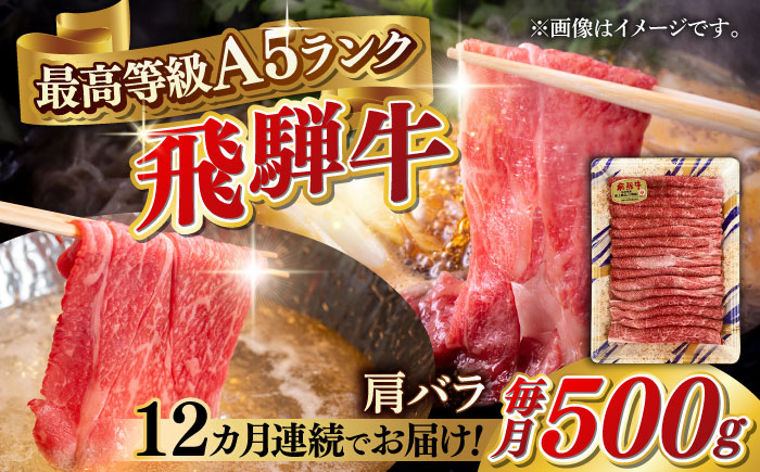 
            【12回定期便】A5等級 飛騨牛 肩バラ すき焼き・しゃぶしゃぶ用 500g すきやき 鍋 A5ランク 岐阜市 / 三心 [ANGY006]
          