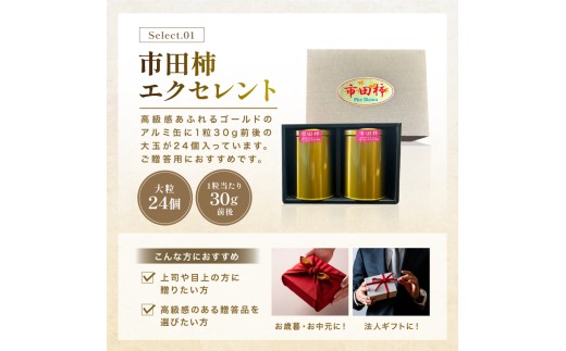市田柿 エクセレント ゴールドの缶 12個 入り × 2缶 ＜2026年12月中旬～2027年1月下旬発送予定＞| 果物 くだもの フルーツ 市田柿 柿 干し柿 贈答用 プレゼント 贈り物 長野県 飯田市