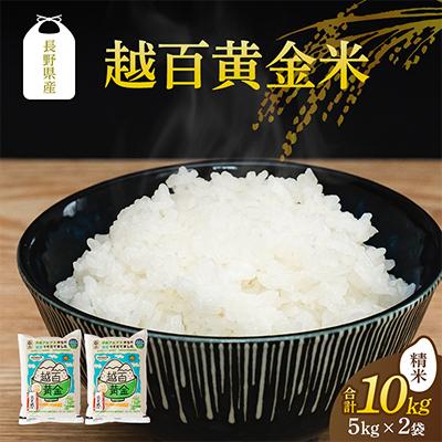 ふるさと納税 飯島町 長野県産 越百黄金米(精米)5kg×2袋