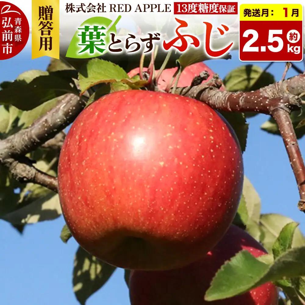 【27年1月発送】りんご 13度糖度保証【贈答用】葉とらずふじ 約2.5kg 先行受付
