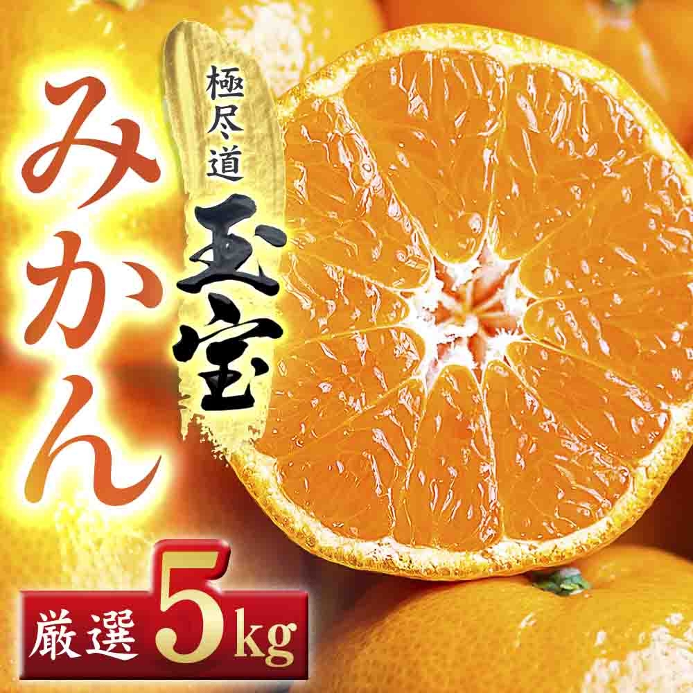
                  ＜愛媛名産＞玉宝みかん(5kg)＜D64-1＞_ みかん 愛媛 ミカン 蜜柑 愛媛県 愛媛みかん 柑橘 果実 果物 くだもの フルーツ ふるーつ デザート 人気 ジューシー おいしい 国産 八幡浜市 産地直送 産直 送料無料 【1340879】 YWTY001
                