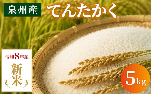 【2026年10月上旬順次発送予定】〈令和８年産〉泉州産 てんたかく 5kg×1袋 / 精米 お米 ご飯 白米 ふっくら つややか 粘り やさしい甘み 単一原料米 消耗品 ストック食材 てんたかく 令和8年産 畑中農園 大阪府 阪南市