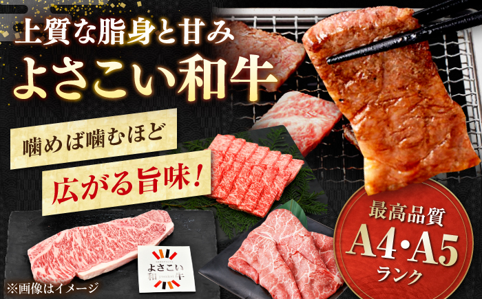 【6回定期便】カツオと和牛の赤身定期便〈2025年2月から発送開始〉/カツオ 食べ比べ 鰹のセット 土佐和牛 牛肉 高知市 こだ