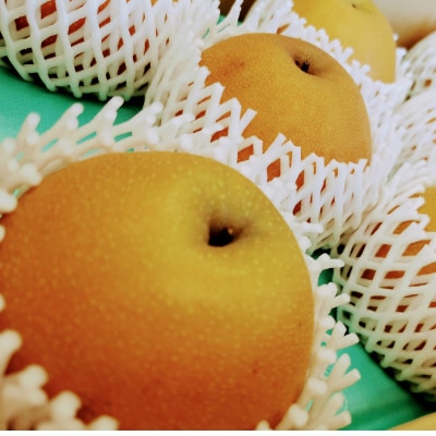 栃木県佐野市産　梨「にっこり」5～7玉入り(1玉 約700g～1,000g)