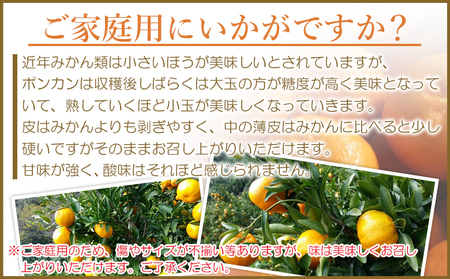 ＜愛媛県西予市産 ポンカン 約9kg 家庭用＞ 訳あり ワケアリ 果物 くだもの ミカン 蜜柑 柑橘 ぽんかん おいしい フルーツ サイズ不揃い ご自宅用 果実 果肉 ジューシー 特産品 段畑みかん 