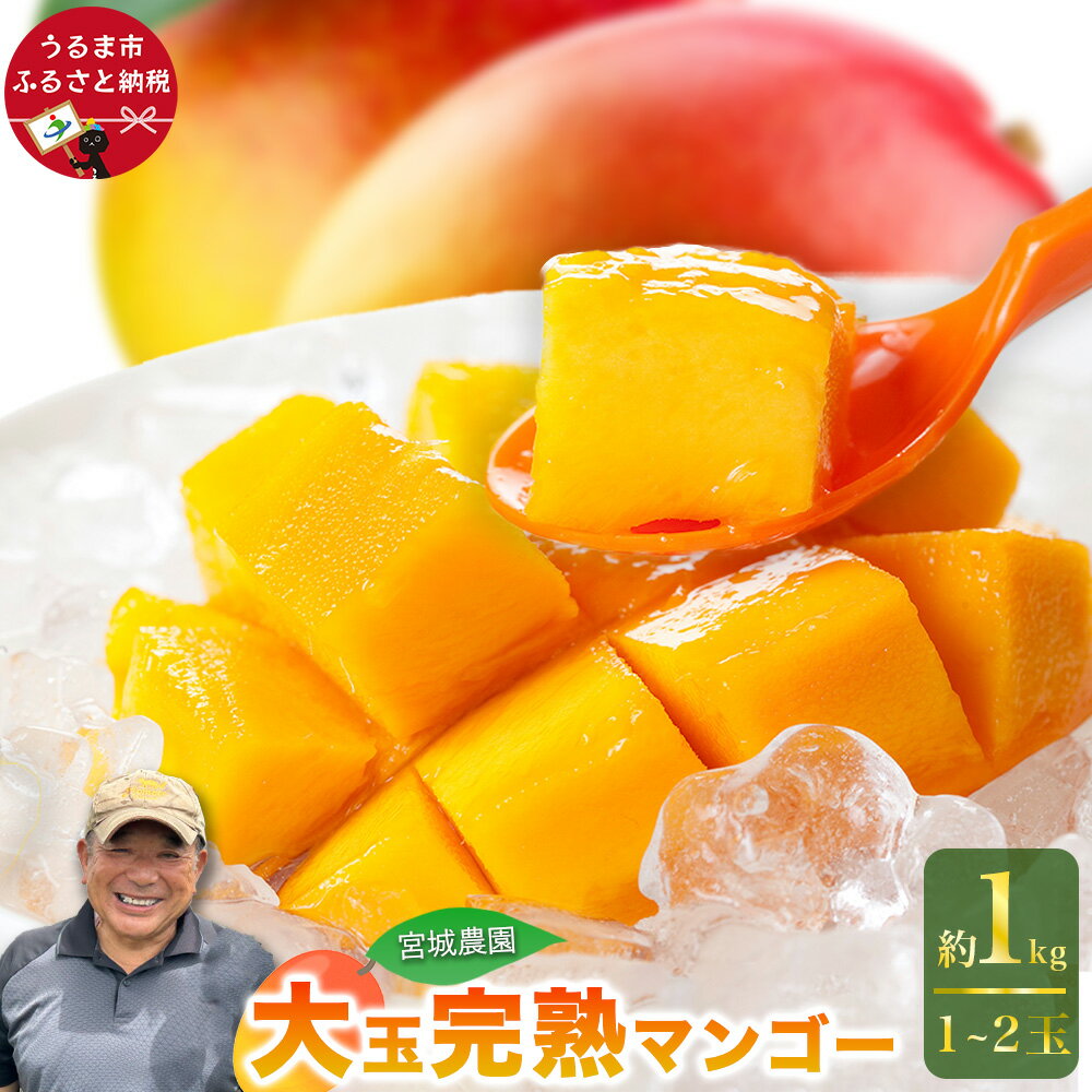 【ふるさと納税】宮城農園の完熟マンゴー 約1kg（1-2玉）【 先行予約 2026年発送 】 有機栽培 最高級 贈答用 大玉 果肉たっぷり 食べ応え 国産 果物 南国 くだもの フルーツ 完熟 夏 旬 特産品 沖縄 取り寄せ 産地直送 農家直送 甘い 濃厚 沖縄 うるま市 宮城農園
