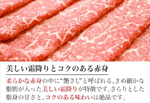 佐賀牛切り落とし 500g (佐賀牛ウデ モモ バラ肉のいずれか) すき焼き しゃぶしゃぶ ギフト「2023年 令和5年」