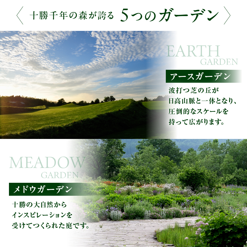 十勝千年の森 年間パス入場券 大人1名分【北海道 清水町 自然 十勝千年の森 十勝毎日新聞社 ガーデン 入場券 年間パス レジャー おでかけ】