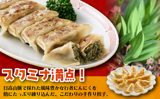 まろやか黒昆布餃子ほか2種の餃子(行者にんにく・カレー)20個入×各1袋[04-085]_イメージ3