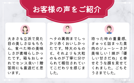 いちご 大粒完熟いちご「やよいひめ」800g