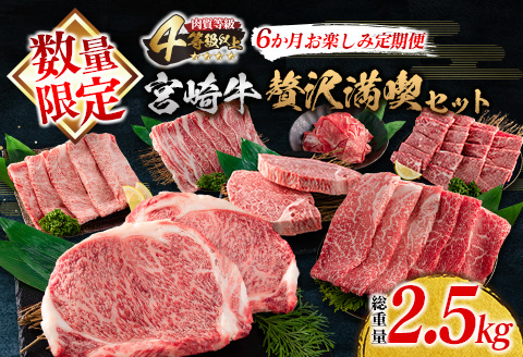 数量限定 6か月 お楽しみ 定期便 宮崎牛 贅沢 満喫 セット 総重量2.5kg 肉 牛 牛肉 黒毛和牛 国産 人気 食品 焼肉 ステーキ 送料無料_N6-23