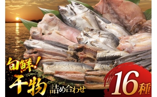 おつまみ イカ 旬魚 平戸 干物 16種 詰め合せ [森崎水産 長崎県 平戸市 hr42bgy410100] いか セット 詰合せ 干物 干物セット 一夜干し いかめし 冷凍 国産 ひもの 魚