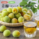 【ふるさと納税】有機栽培　青梅 5kg（ジュース・梅酒・酵素用）