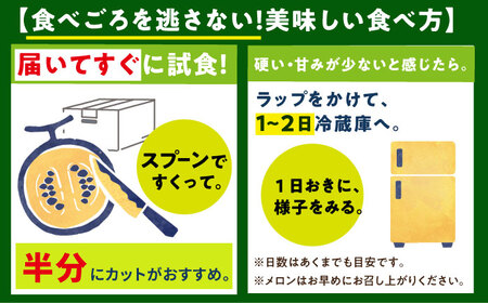 【先行予約】 タカミメロン 約5kg(3〜5玉)【2025年6月中旬-7月初旬順次発送】 メロン メロン メロン メロン メロン 小値賀園芸部会[DAT001] メロン メロン メロン