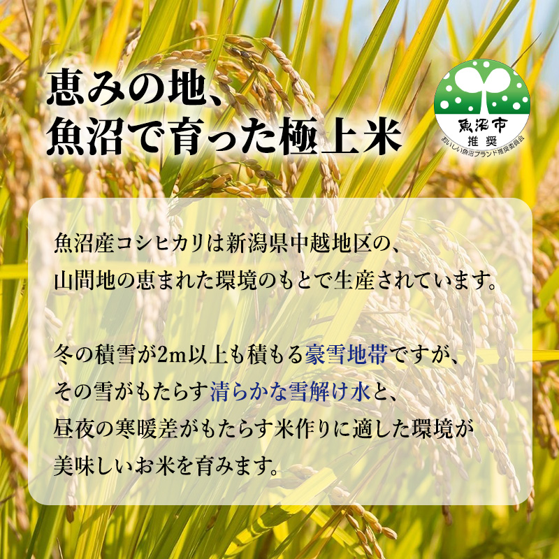 【令和5年産】『お米アドバイザー厳選！』魚沼産コシヒカリ　特別栽培米　精米15kg（5kg×3袋）