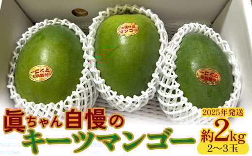 眞ちゃん自慢のキーツマンゴー　約2kg（2～3玉）2025年発送 甘い キーツマンゴー 濃厚 マンゴー トロピカル 農家直送 希少 デザート フルーツ キーツ あまい おいしい ジューシー 南国 高級 まんごー 沖縄 国産マンゴー 沖縄県 東村
