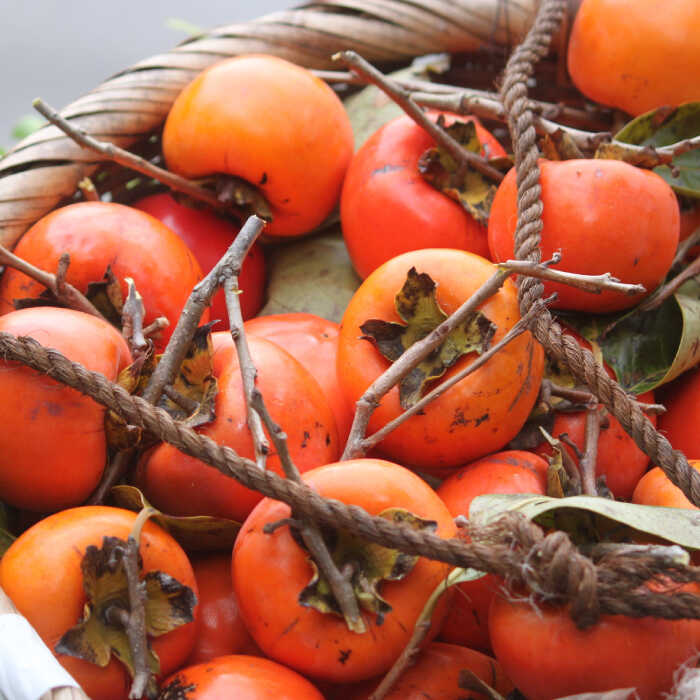 【業界誌（料理通信）お宝食材コンテスト ベスト20選出】天然 酵母 柿酢 200ml 1本 + 300ml 1本 / 6年熟成  南島原市 / 中邨 [SAG001]_イメージ3