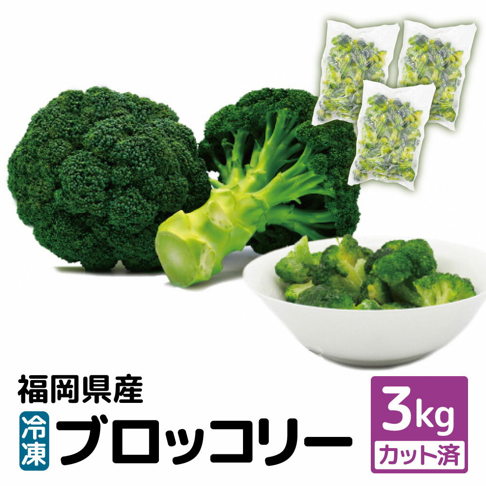 【ふるさと納税】福岡県産 冷凍ブロッコリー 合計3kg（1kg×3袋）カット済み ブロッコリー 野菜 冷凍野菜 冷凍 カット野菜 簡単 調理 国産 九州産 送料無料 【2026年3月より発送】 [F2258]