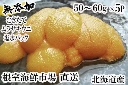 根室海鮮市場＜直送＞無添加むきたてムラサキウニ塩水パック50～60g×5P[5月下旬以降発送] C-28054