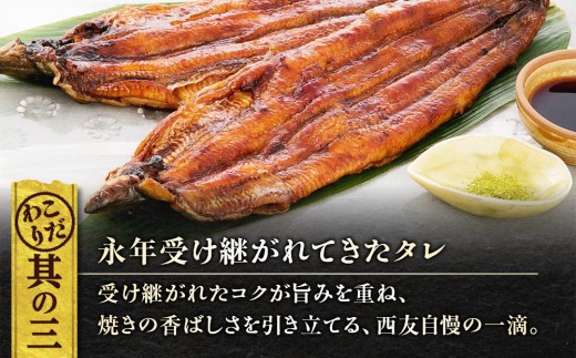 近江今津／西友 うなぎ炭火焼蒲焼詰合せ（2尾） SK-80F
