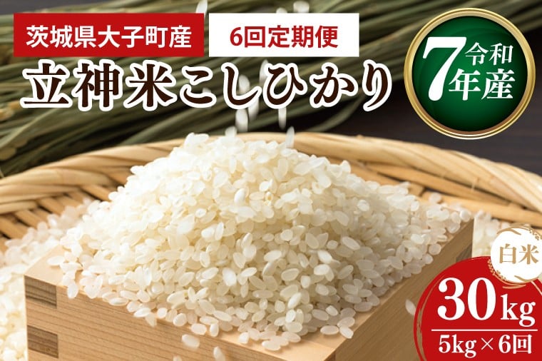 
                  【6ヶ月定期便】【谷田部農産】【特別栽培米】立神米こしひかり（白米）定期便 5㎏ 6回お届け｜茨城県 大子町 コシヒカリ 米 コンテスト 受賞 生産者 大子産米 産地直送 令和7年産（BT071）
                