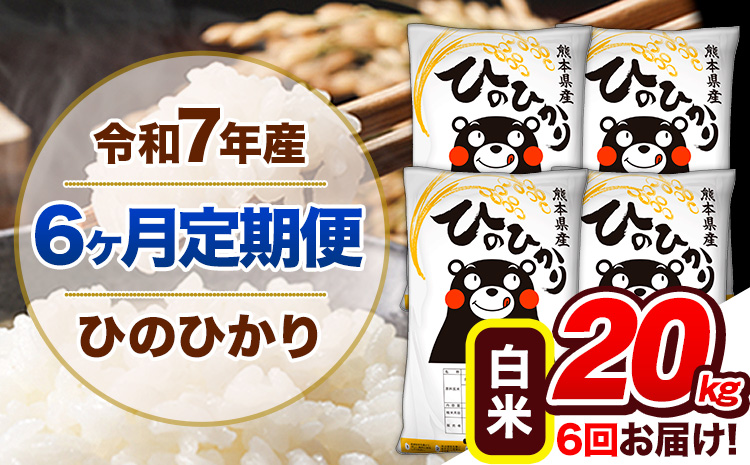 【6ヶ月定期便】令和7年産 定期便 ひのひかり20kg 《お申込み翌月から出荷開始》熊本県産 ふるさと納税 白米 精米 ひの 米 こめ ふるさとのうぜい ヒノヒカリ コメ 熊本米
