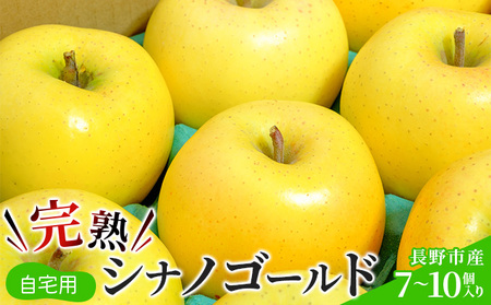 2026年産 ご自宅用　完熟シナノゴールド 7-10個入り 果物 りんご フルーツ デザート 食後 長野りんご 信州りんご ジューシー 生産者直送 