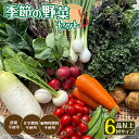 【ふるさと納税】 【発送時期限定】 京都府綾部市の季節 野菜セット M（3-4名様分）農薬不使用 無農薬 新鮮 野菜 セット 詰め合わせ 京都 綾部 農家直送 産地直送 旬 旬野菜 人気 おすすめ リピーター 京都 綾部 BBQ バーベキュー 健康 健康食品 緑黄色野菜 美肌 美容