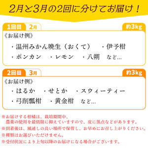 ＜旬をお届け！季節の柑橘詰合せ 2回定期便（1回約3kg×2回 合計約6kg）＞みかん ミカン 詰め合わせ つめあわせ 蜜柑 果物 フルーツ お楽しみ 食べ比べ 特産品 愛媛県 西予市【常温】『1回目