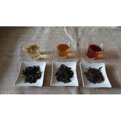 ふるさと納税 木津川市 【京都産】加茂自然農園 世界のお茶セット(3種類)