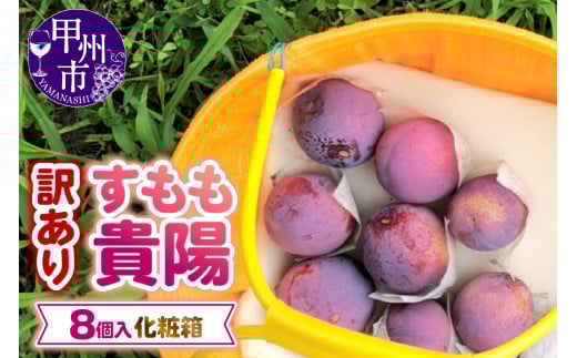 【訳あり】童夢のすもも「貴陽」化粧箱 8玉（約1.6～1.9kg）【2026年発送】（DOM）A08-142 【貴陽 すもも スモモ 令和8年発送 期間限定 山梨県産 甲州市 フルーツ 果物】