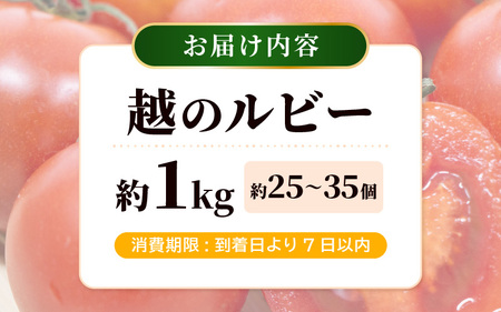 越のルビー (ミディトマト) 約1kg (25～35個程度) 2027年6月上旬以降発送 [A-19209]
