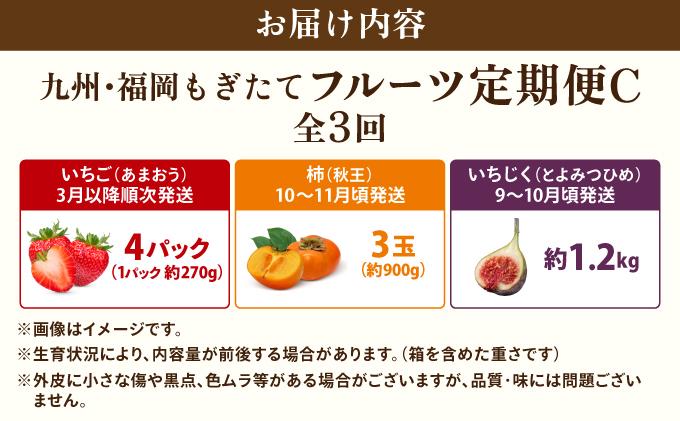 ＜定期便・全3回＞九州・福岡もぎたて フルーツ定期便 C|果物 旬 国産 産地直送 いちご イチゴ 苺 あまおう かき カキ 秋王 とよみつひめ いちじく イチジク 無花果 送料無料 那珂川市 福岡県