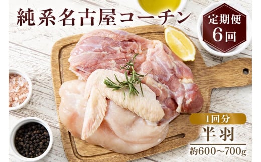 純系名古屋コーチン 定期便 (半羽×6回)｜コーチン 鶏肉 鳥肉 とり肉 塊肉 定期便【0872】