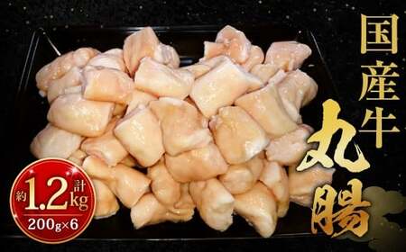 国産牛丸腸 約1.2kg（市立食肉センター直送） 牛丸腸 丸腸 牛マルチョウ マルチョウ 牛肉 肉 ホルモン 牛ホルモン 冷凍 福岡県 北九州市