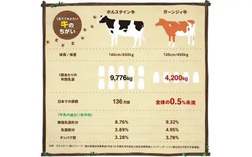 南ヶ丘牧場 アイスクリーム 6個セット 詰合せ 〔B-139〕 | スイーツ アイス 高級アイス 詰め合わせ 乳牛 冷凍 那須町