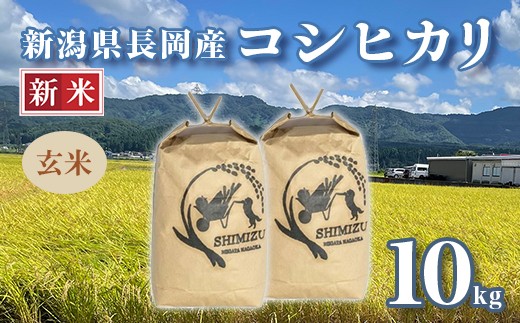 
            N5-G101新潟県長岡産コシヒカリ玄米10kg
          