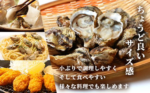 有明海産 養殖牡蠣3kg｜殻付き生牡蠣｜加熱調理用｜新鮮 佐賀県産 カキ【レンジで簡単調理】お正月 夕食 おつまみ おかず 佐賀県 鹿島市 人気 冬季限定 B-567