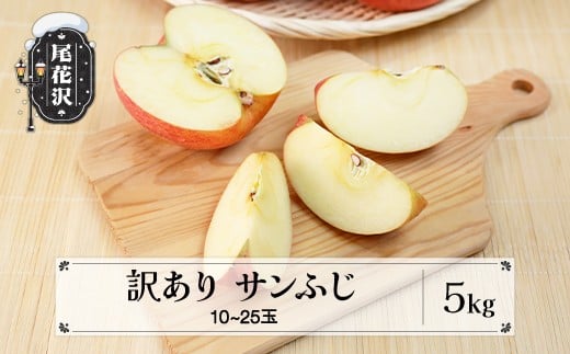 訳あり りんご サンふじ 5kg 令和7年産 2025年産 12月上旬~1月中旬頃発送 山形県産  フルーツ 果物 ns-risfw5-a