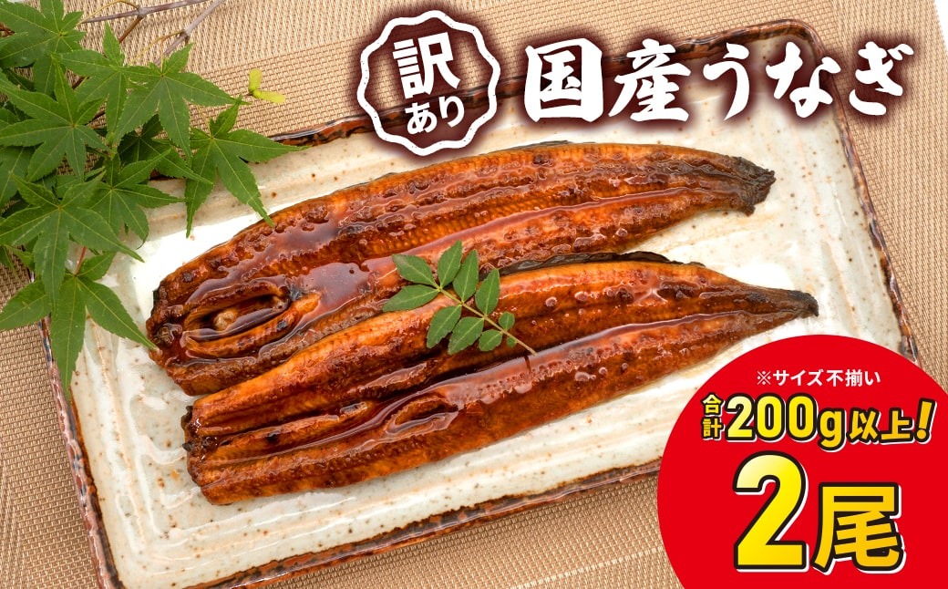 【2026年4月発送】 国産 うなぎ 2尾 200g以上 訳あり お試し 人気 鰻 ウナギ 蒲焼 蒲焼き うなぎ蒲焼 ランキング うな重 ひつまぶし 魚 K2629