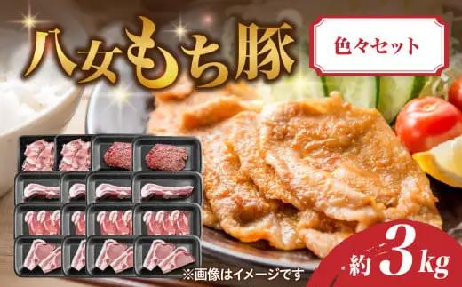 八女もち豚色々セット 計約3キロ 072-209