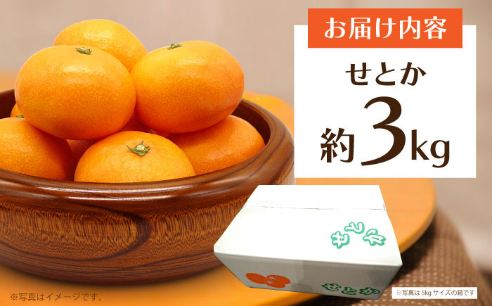 3㎏ 完熟 みかん ミカン 果物 フルーツ くだもの せとか 先行予約 数量限定 せとか 長崎