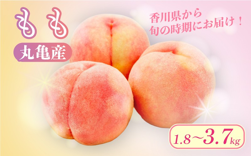 
                  【先行予約】 桃 選べる容量 約1.8kg 約2kg 約3.6kg 約3.7kg 贈答 フルーツ 果物 果実 モモ プレゼント ギフト スイーツ デザート ケーキ ジュース ゼリー アイス シャーベット ジャム ふるさと納税桃 ふるさと納税モモ お取り寄せ 送料無料 ふるさと納税 ふるさと納税フルーツ 香川県 丸亀市
                