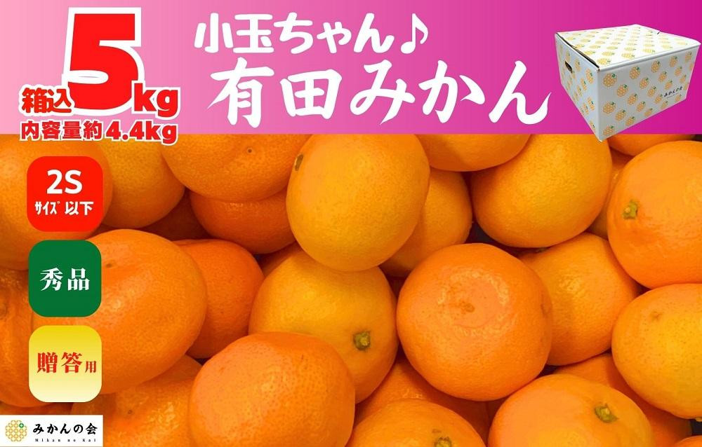 
みかん 小玉ちゃん 箱込 5kg ( 内容量約 4.4kg ) 2S サイズ以下 秀品 有田みかん 和歌山県産 産地直送 贈答用 【みかんの会】
