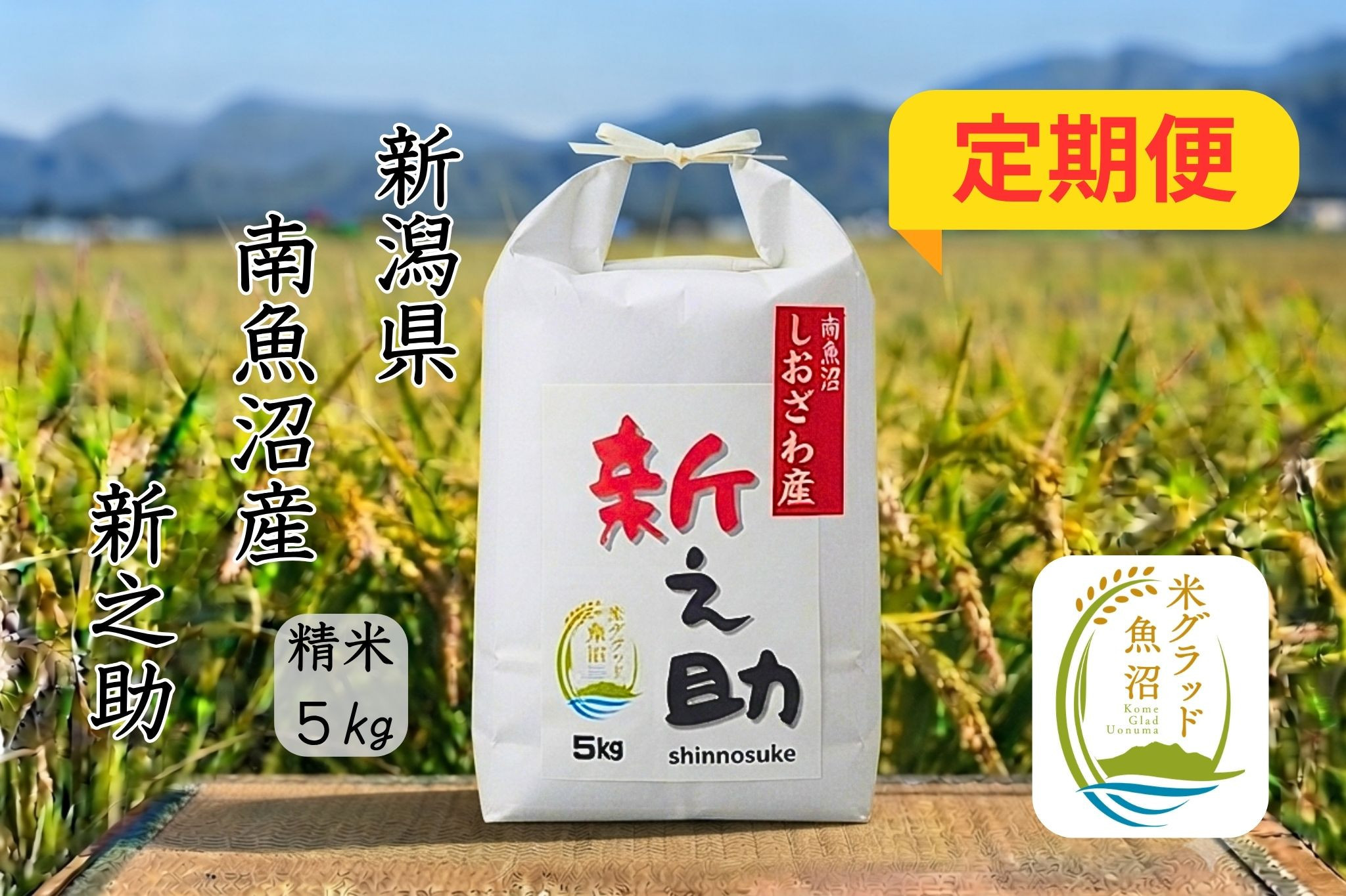 【令和8年産 新米】【定期便】新潟県南魚沼産　新之助　5kg×6か月　大粒でツヤがあるこれまでにないお米