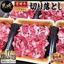 【ふるさと納税】都城産宮崎牛切り落とし【A4等級以上】 - 牛肉 宮崎牛切り落とし肉(200g×5パック) 冷凍・小分けパック 切落とし肉 A4ランク 送料無料 MJ-7702【宮崎県都城市は2年連続ふるさと納税日本一！】